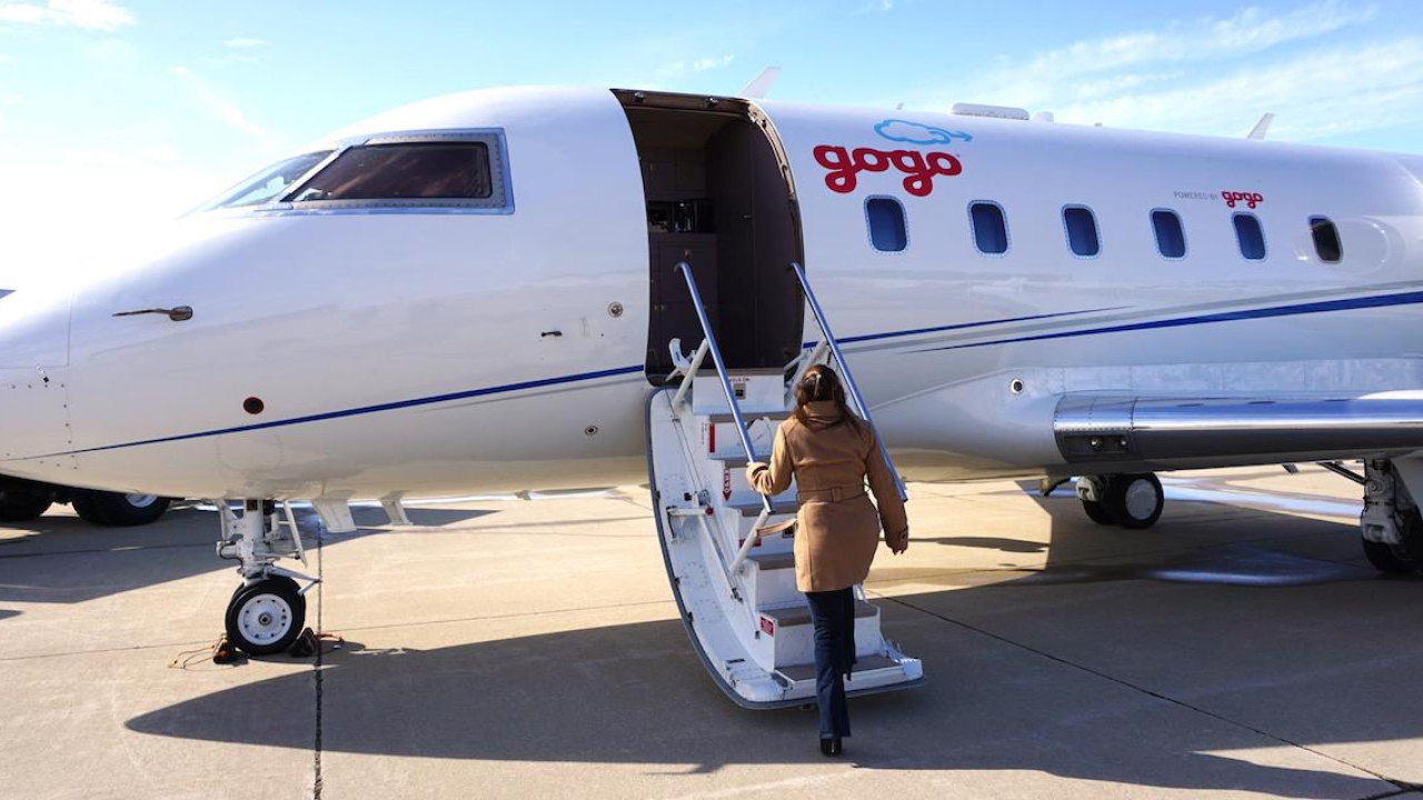 IMAGE: Gogo